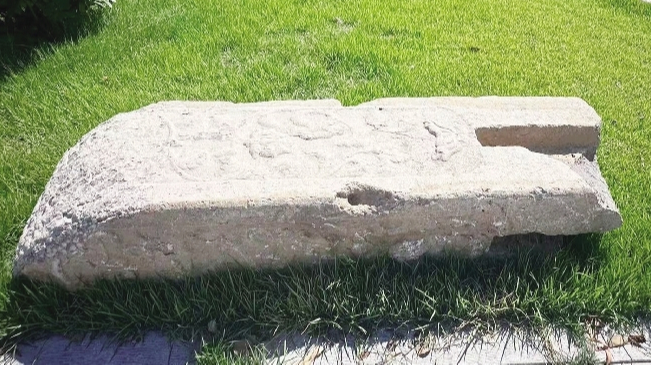 市菌菇飘香 致富四方CQ9电子登录临清